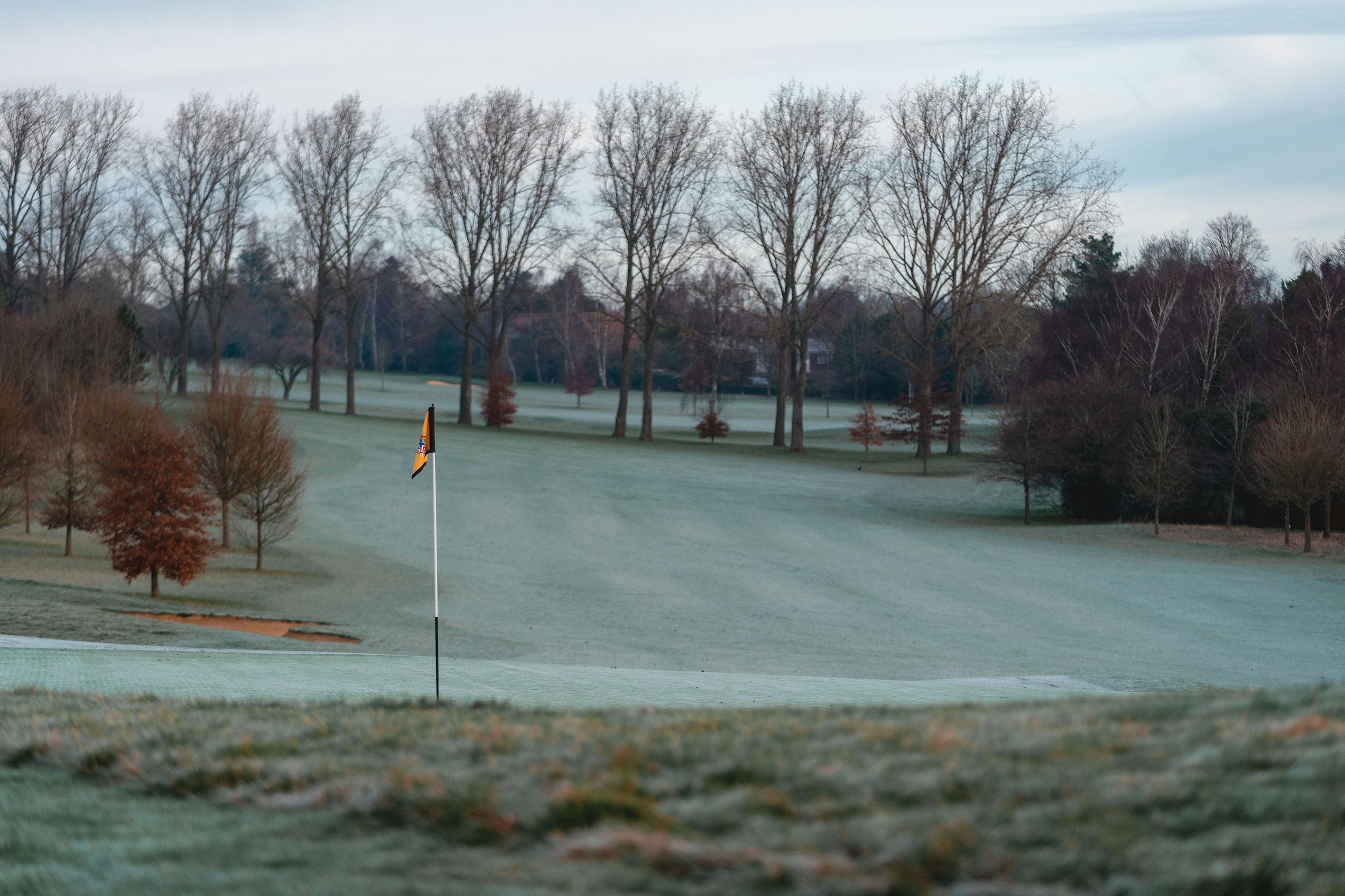 Golf Winter Rules: A Guide