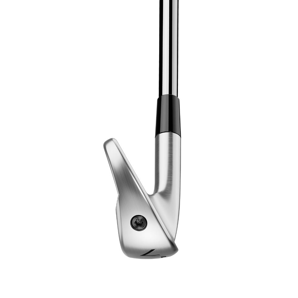 TaylorMade Golf P790 Irons 2025
