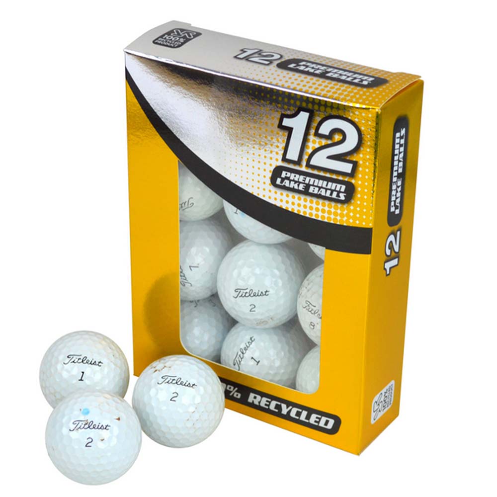 Titleist Pro V1 Grade B Recycled / Lake Golf Balls   