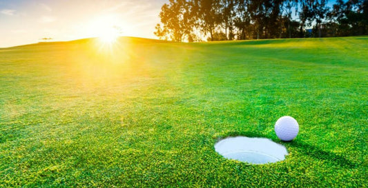 Beautiful Golf Green - With a golf ball next to the hole 