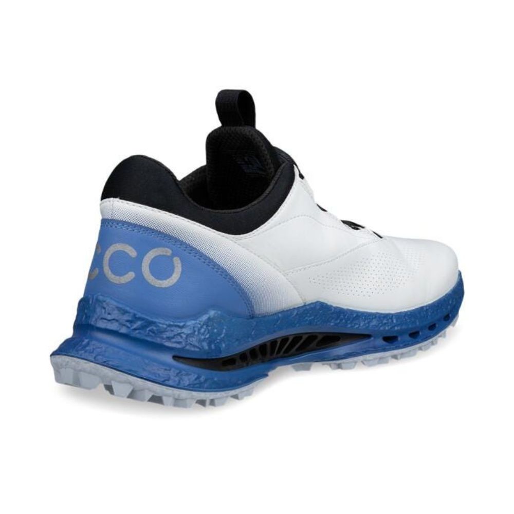 Ecco Biom C5 BOA Leather Men's Spikeless Golf Shoes 2026 - 132614-61583