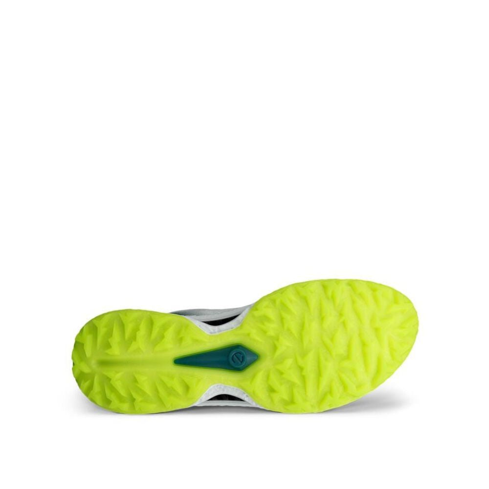 Ecco Biom C5 BOA Leather Men's Spikeless Golf Shoes 2026 - 132614-61475