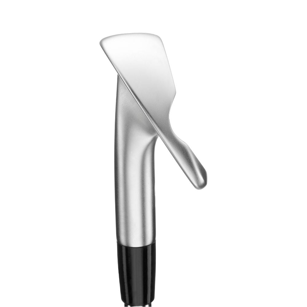 Mizuno Golf Pro S1 Forged Irons