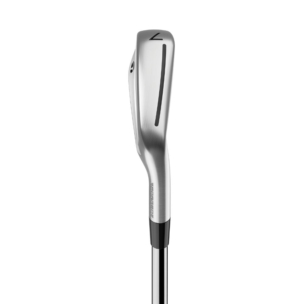 TaylorMade Golf P790 Irons 2025