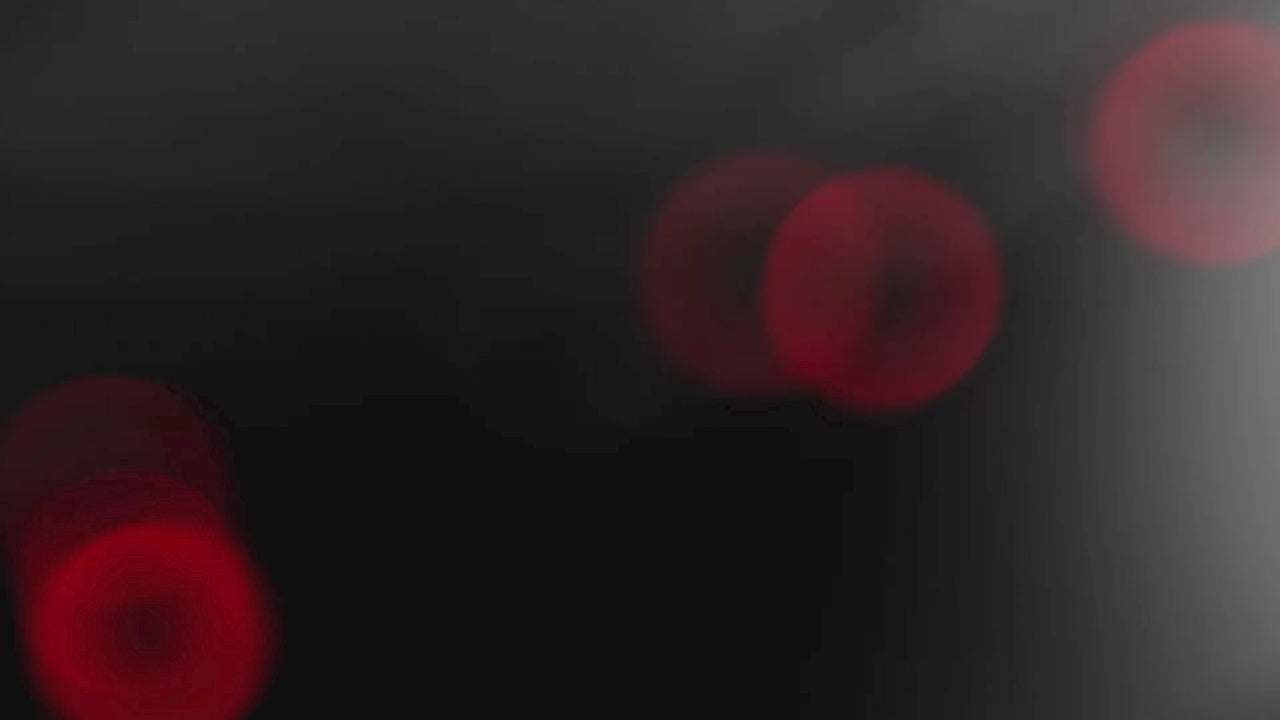 Wilson Staff Model XB Golf Irons 2026 - Online Custom Fit (PRE ORDER)